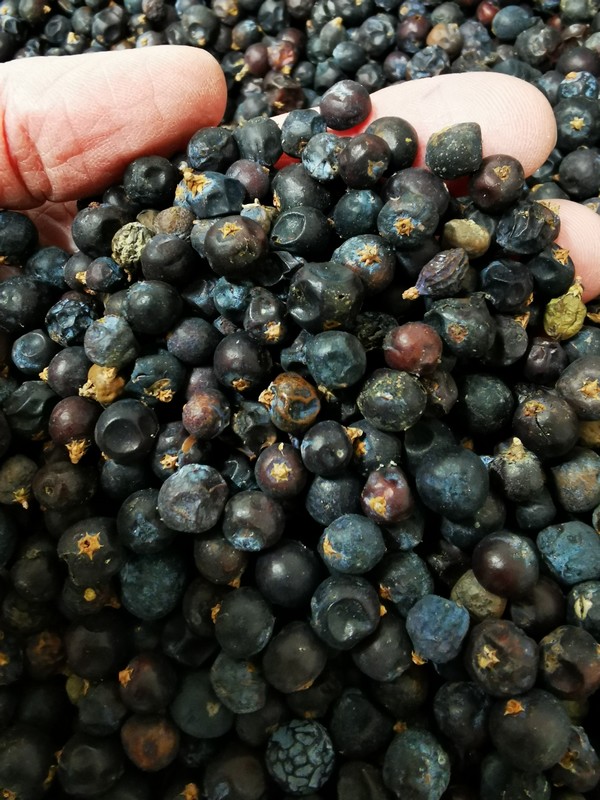 Grand Nez Spirits - photo 4