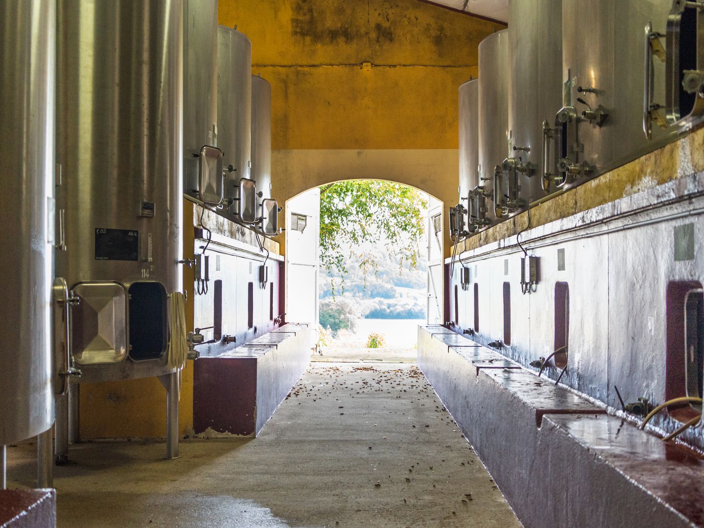 Escape game, au Château de Diusse