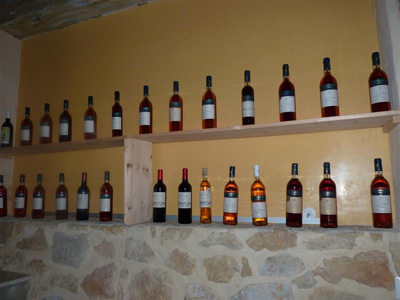 Château de Diusse