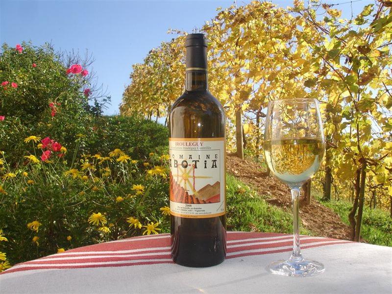 Domaine Abotia