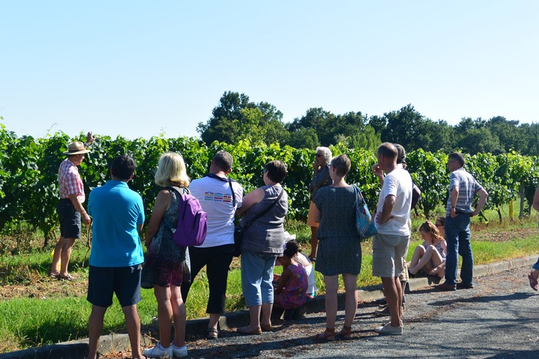 Soirée découverte au Domaine Amblard