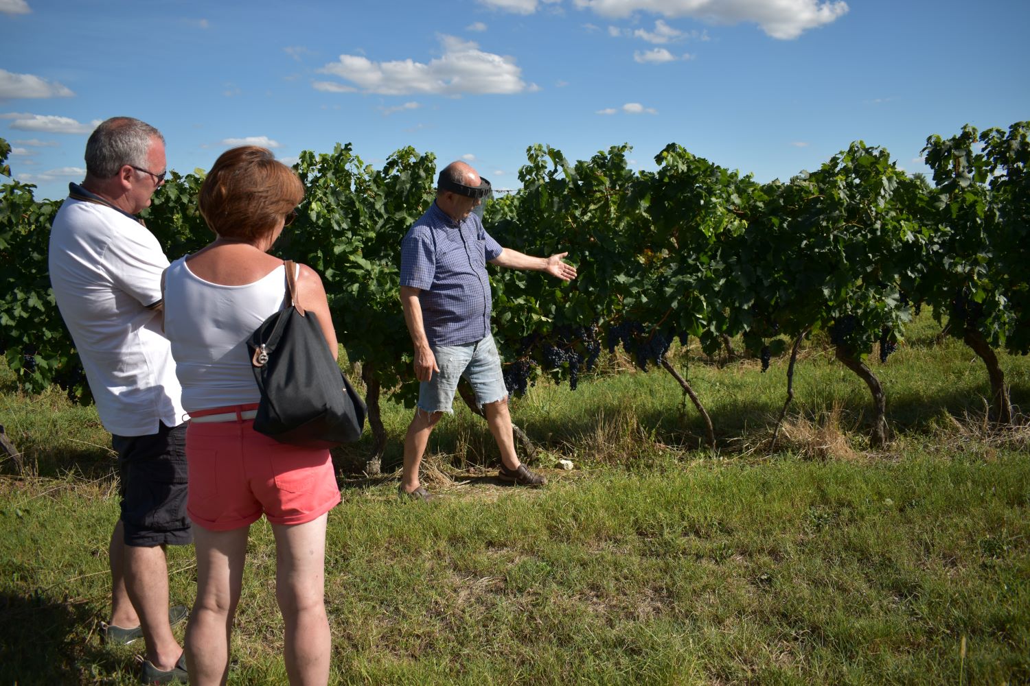 Domaine Amblard - photo 4