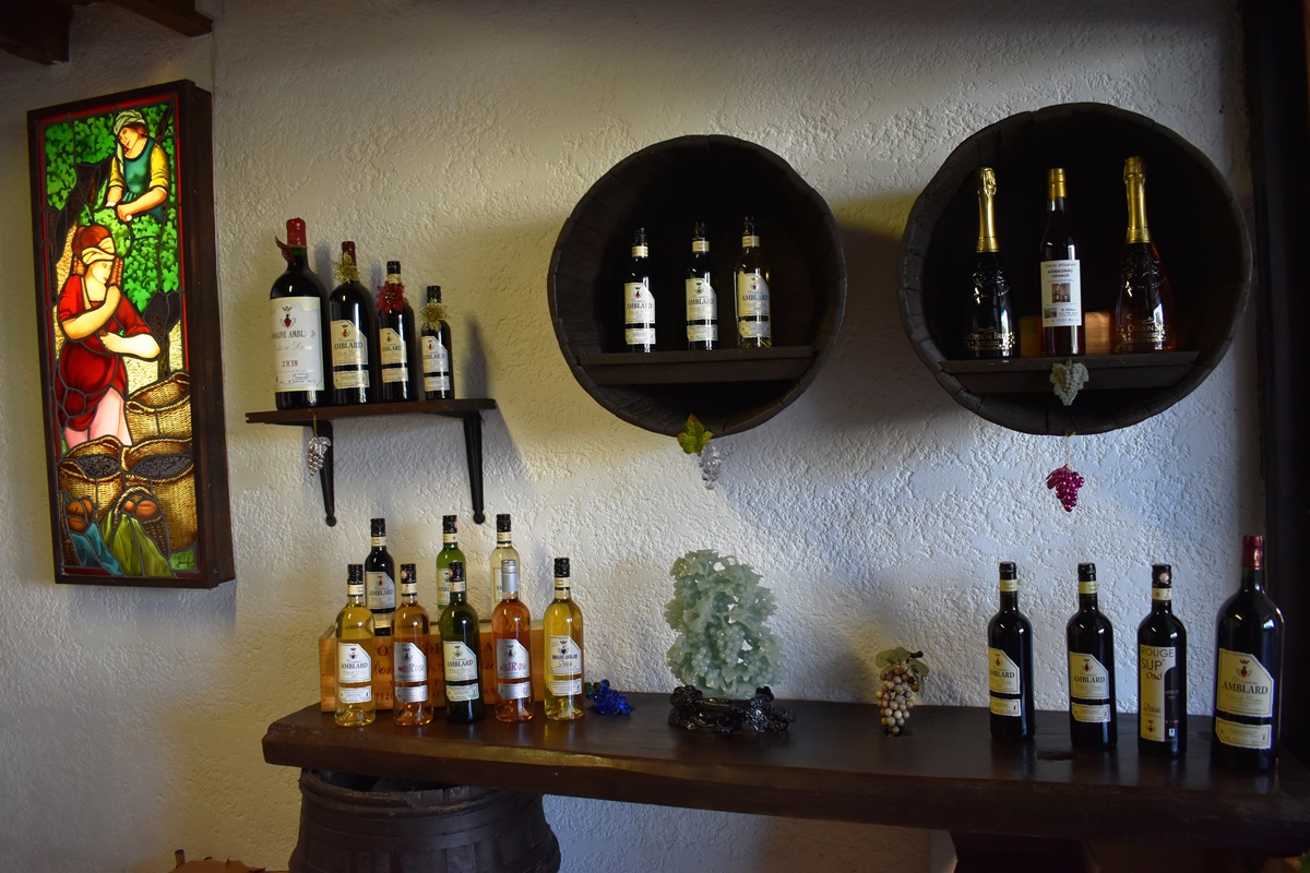Soirée découverte au Domaine Amblard, Saint-Sernin - photo 15