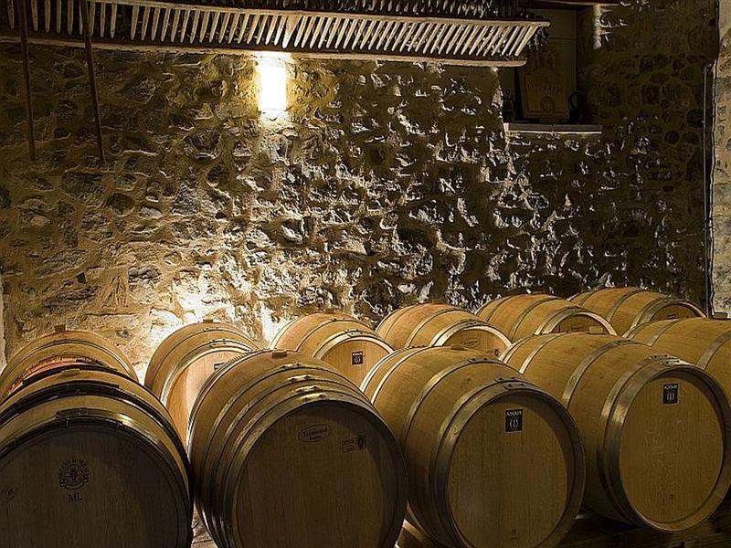 Domaine Ameztia