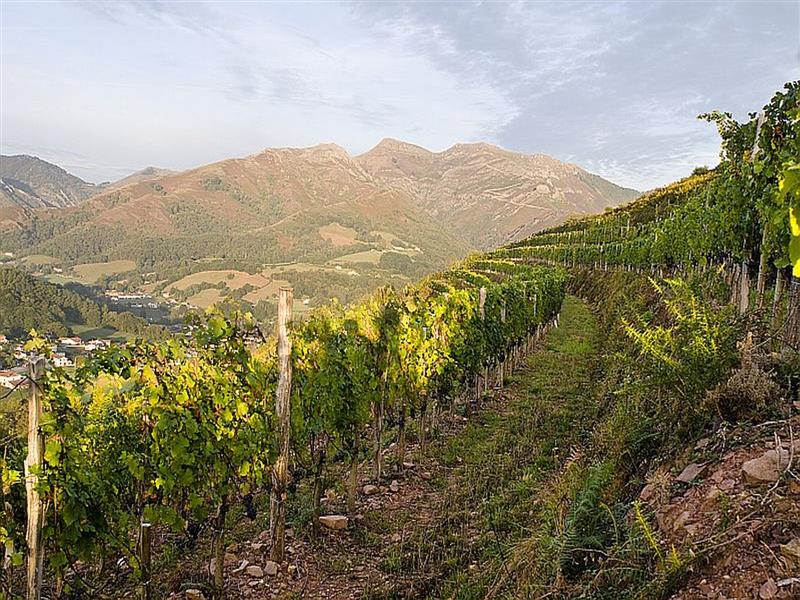 Domaine Ameztia