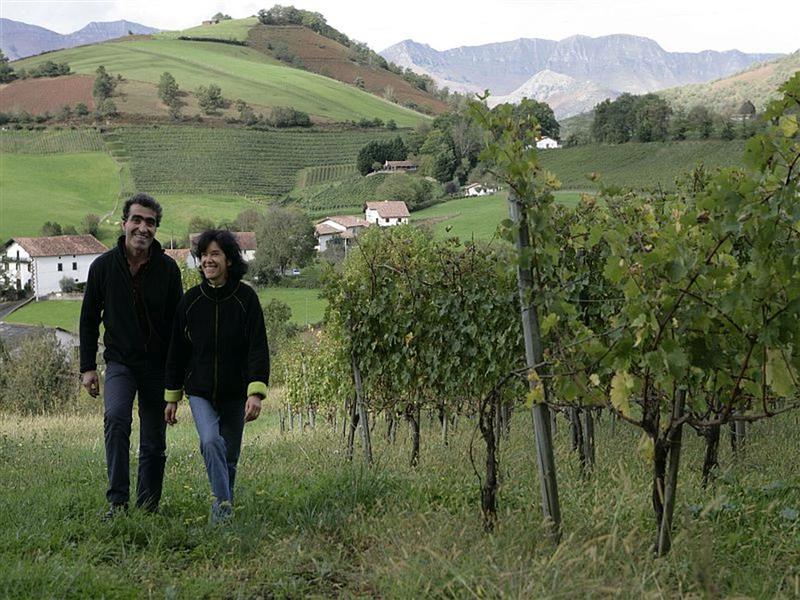 Domaine Arretxea