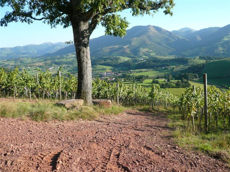 Domaine Arretxea