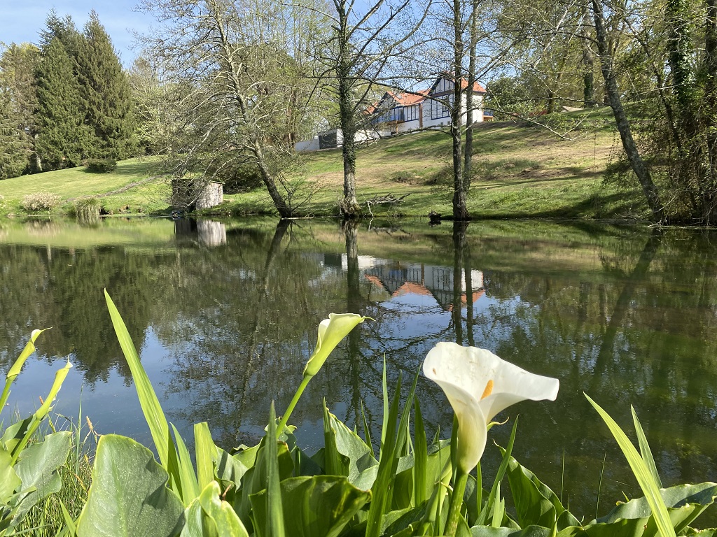 Domaine Baruteau, Soustons - photo 5