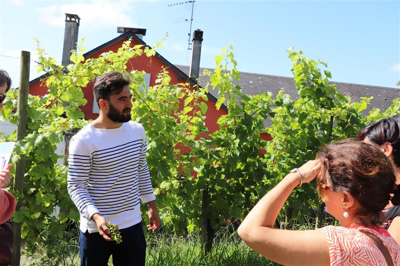 Domaine Bellegarde