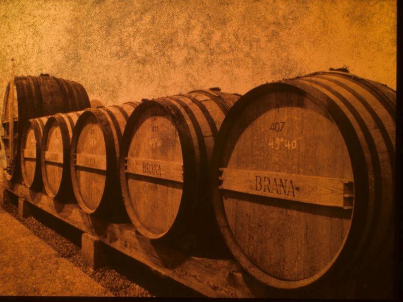 Domaine Brana