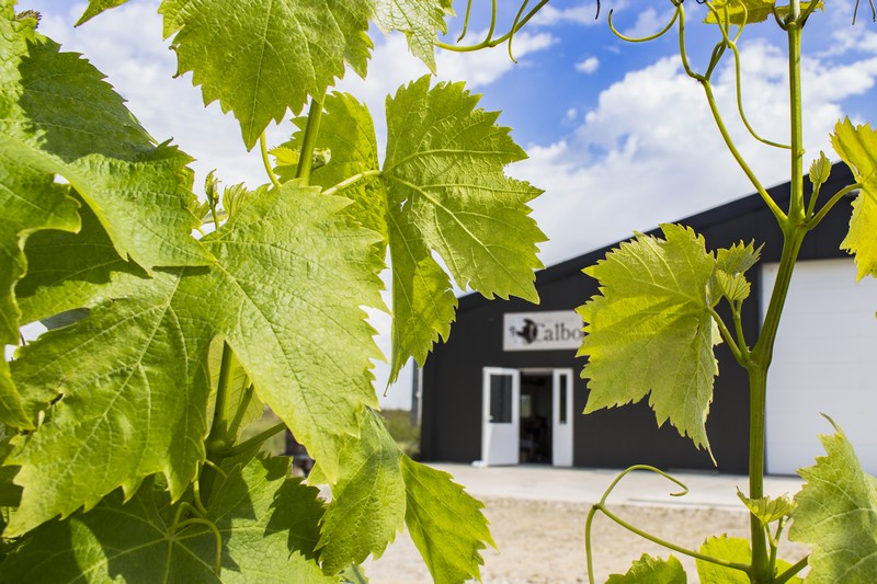 Domaine Calbo - photo 3