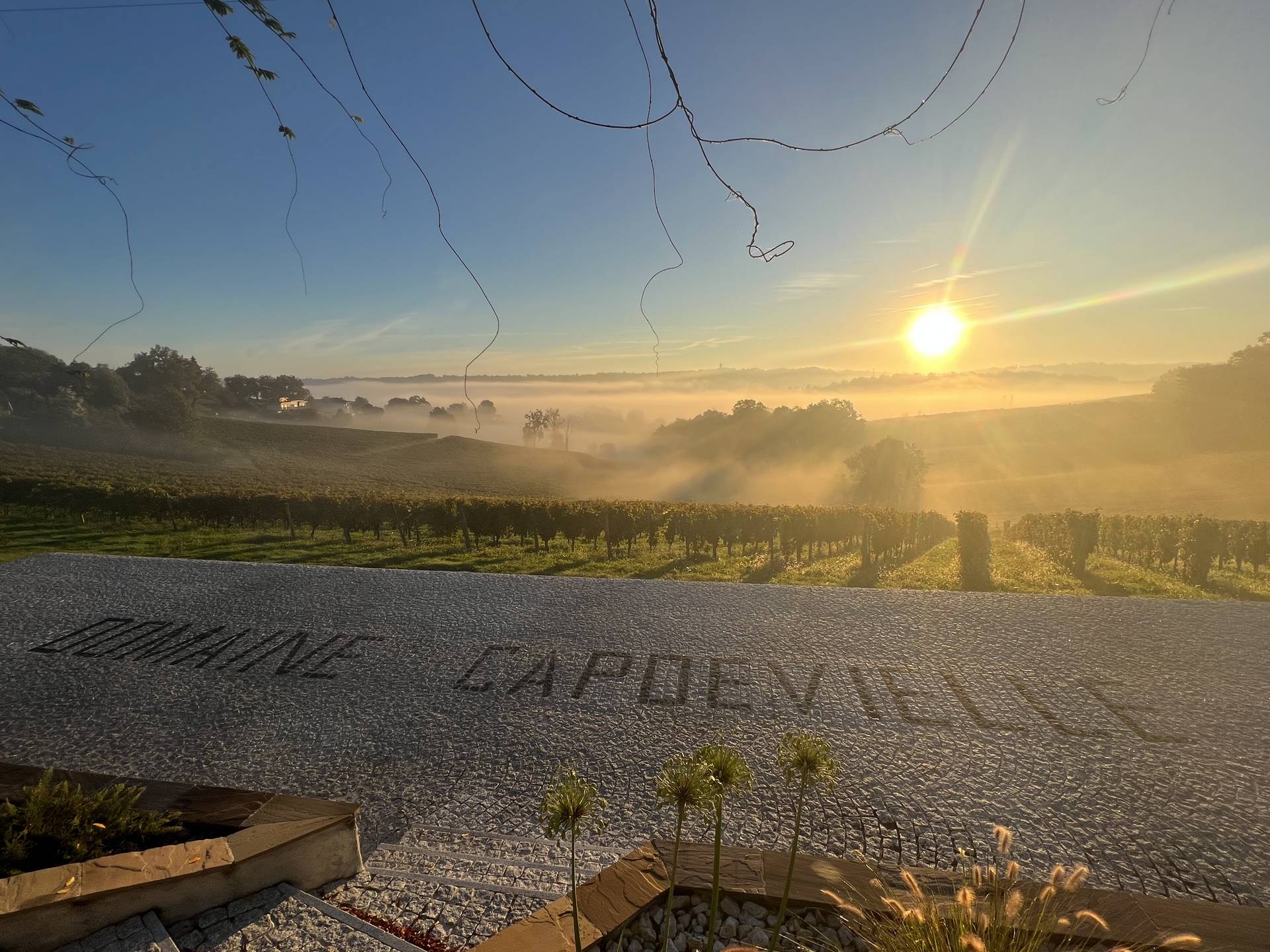 Domaine Capdevielle - photo 5