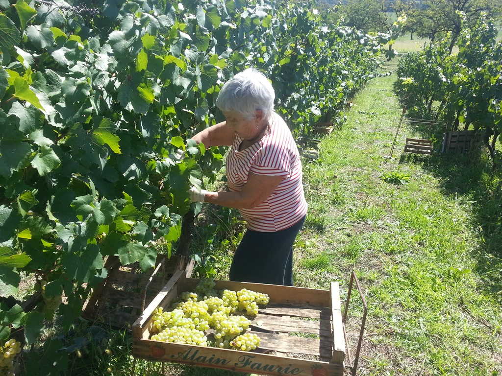 Domaine de Chirac — photo 3