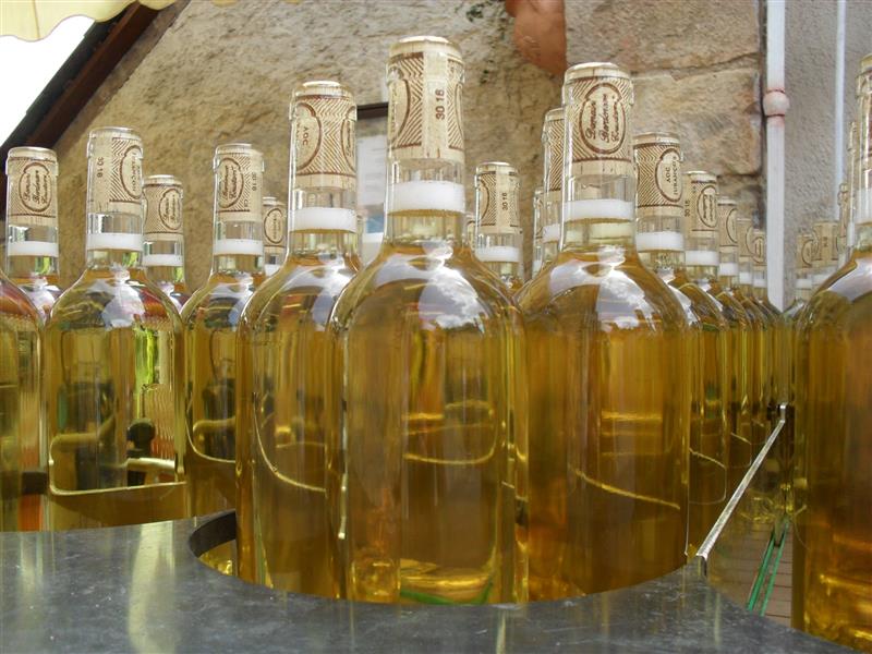 Domaine Coustarret