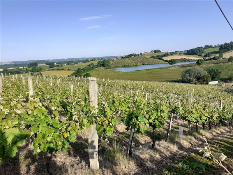 Domaine Dou Bernès