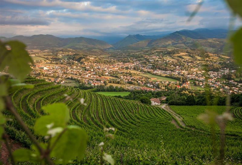 Domaine Brana