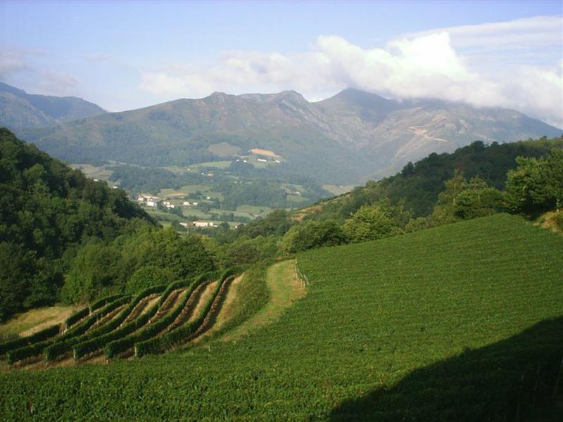 Domaine Etxegaraya