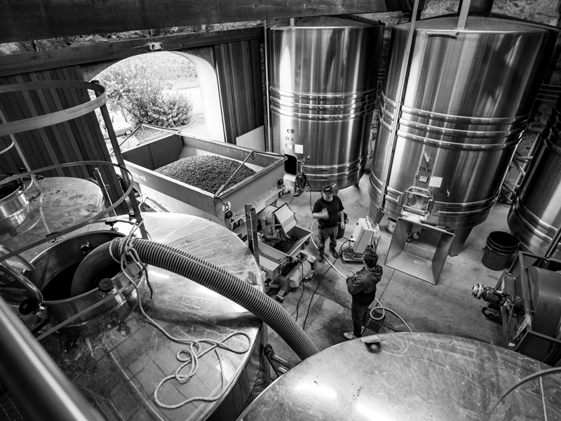 Tour du domaine et dégustation au Domaine du Grand Mayne, Villeneuve-de-Duras - photo 12