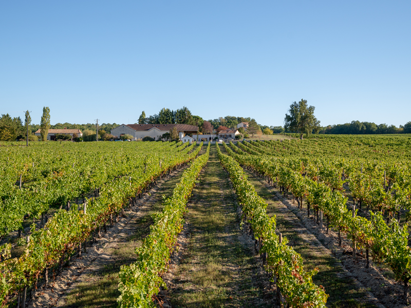 Tour du domaine et dégustation au Domaine du Grand Mayne, Villeneuve-de-Duras - photo 11