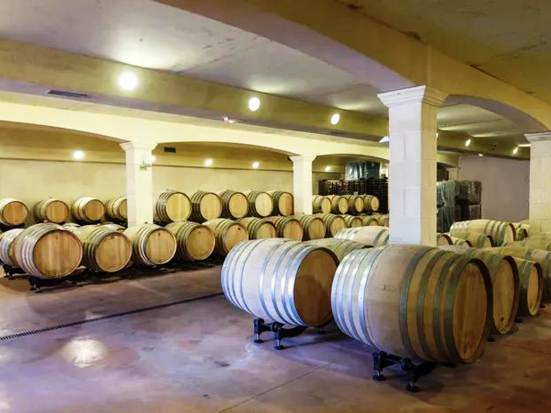 Tour du domaine et dégustation au Domaine du Grand Mayne, Villeneuve-de-Duras - photo 9