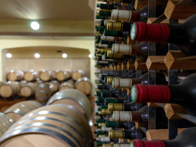 Tour du domaine et dégustation au Domaine du Grand Mayne - photo 4