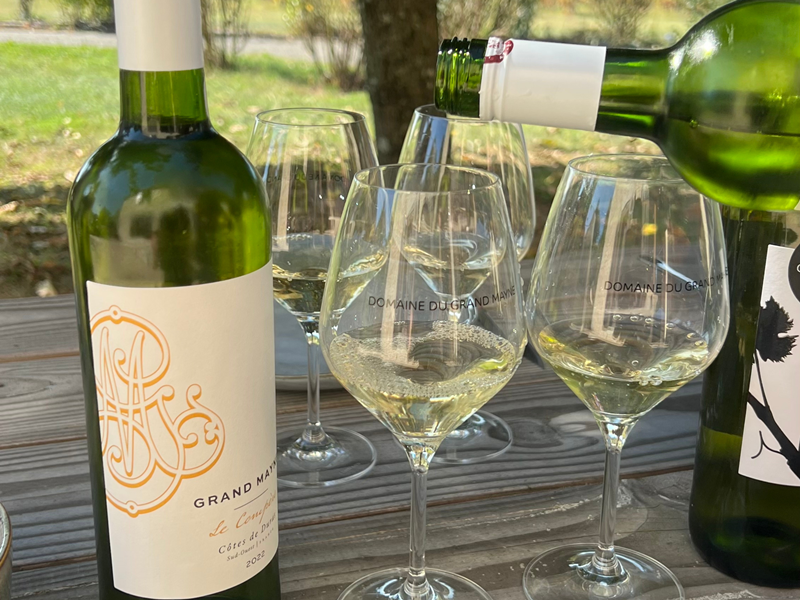 Tour du domaine et dégustation au Domaine du Grand Mayne, Villeneuve-de-Duras - photo 8