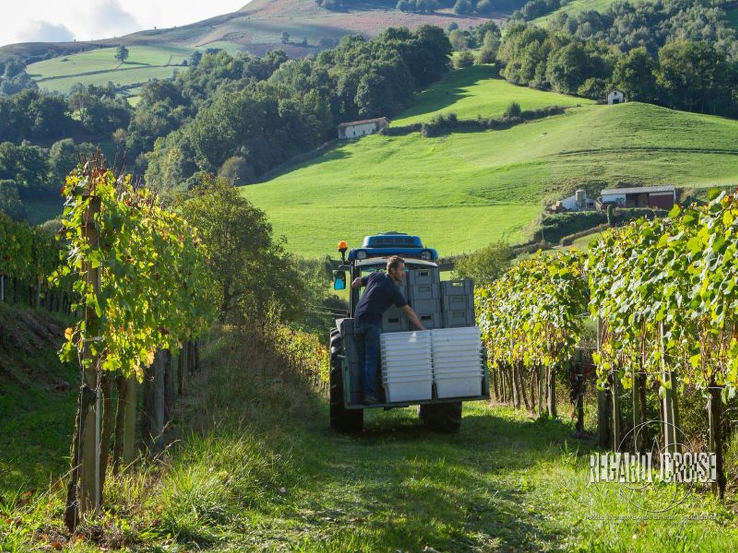 Visite guidée sur sentier pédagogique au domaine Gutizia