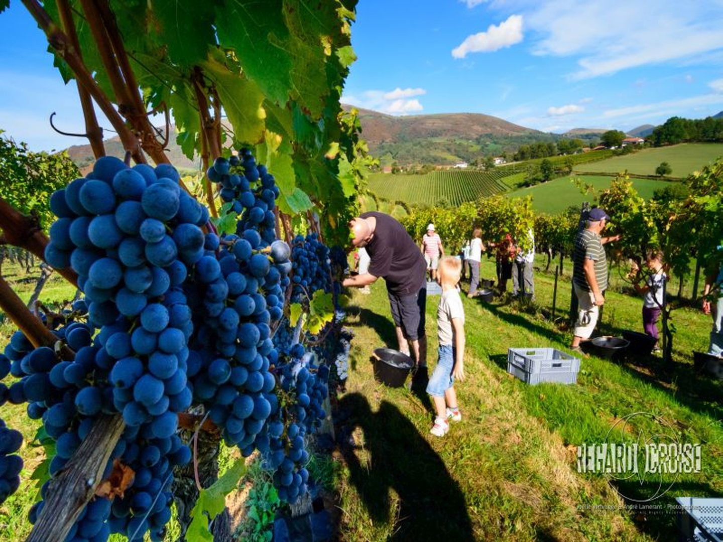 Visite guidée sur sentier pédagogique au domaine Gutizia - photo 2