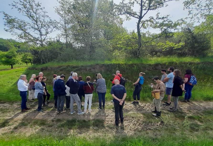 Domaine Les Hauts de Riquets, Baleyssagues - photo 14