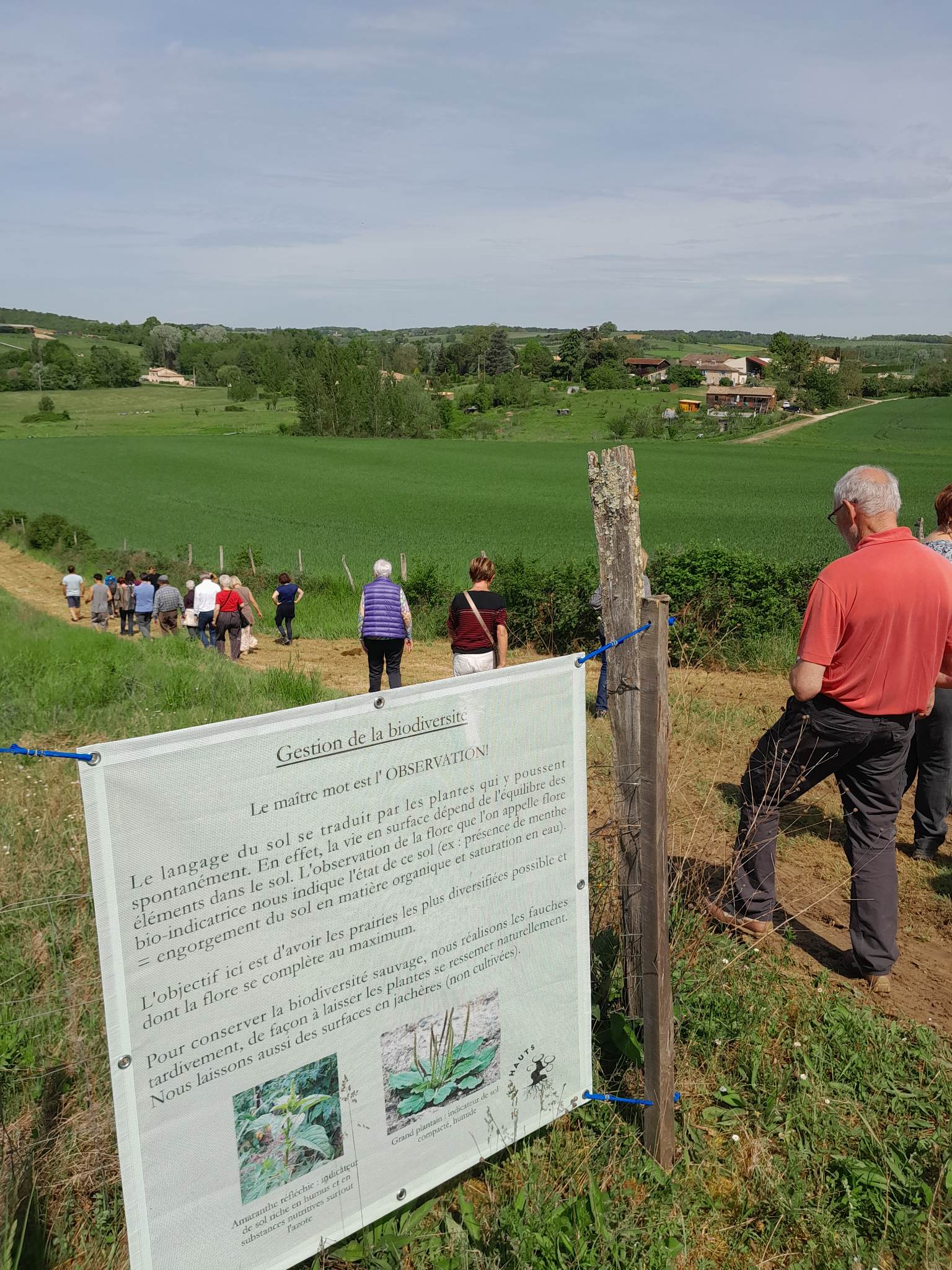 Domaine Les Hauts de Riquets, Baleyssagues - photo 7