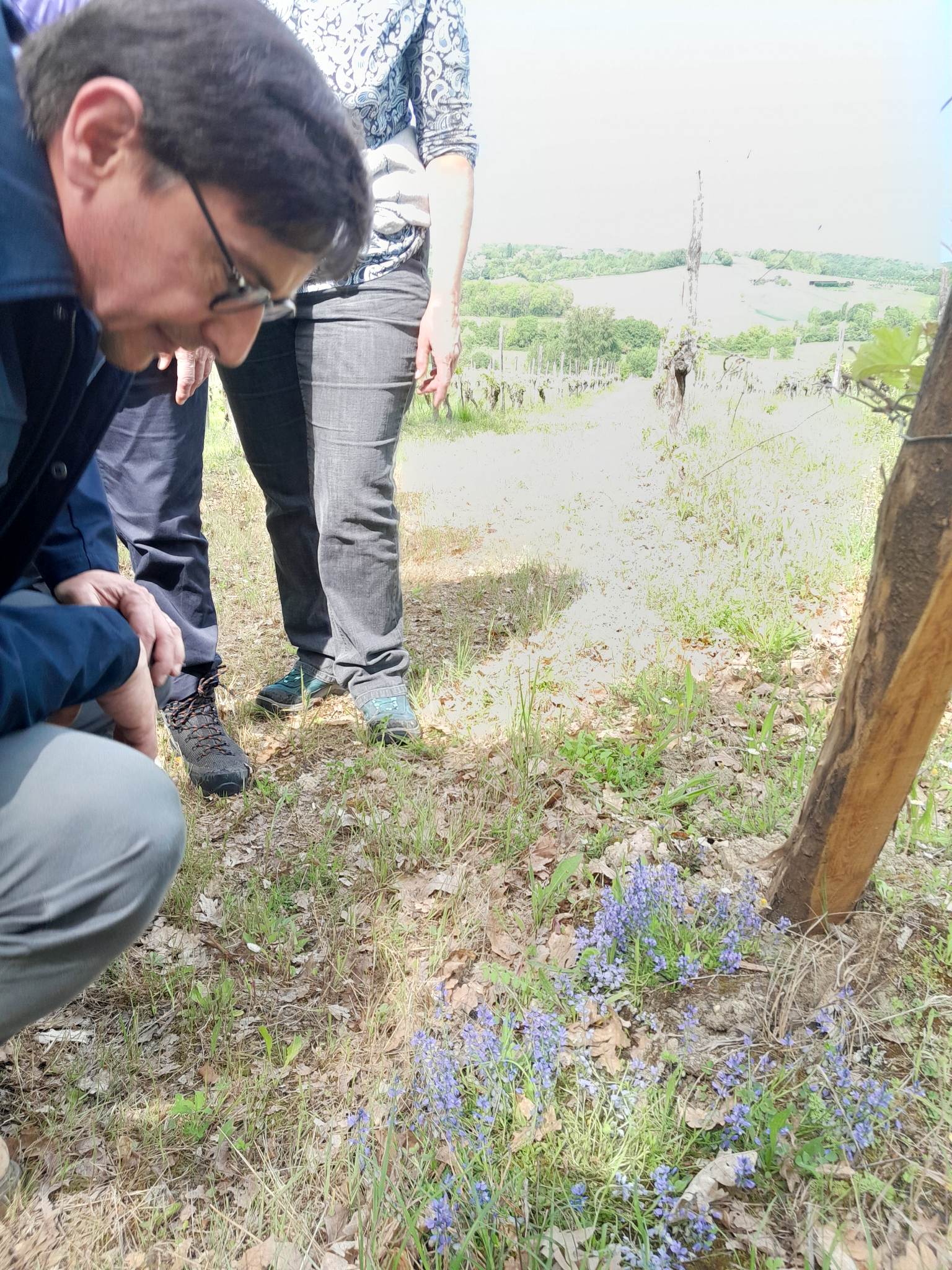 Domaine Les Hauts de Riquets, Baleyssagues - photo 3