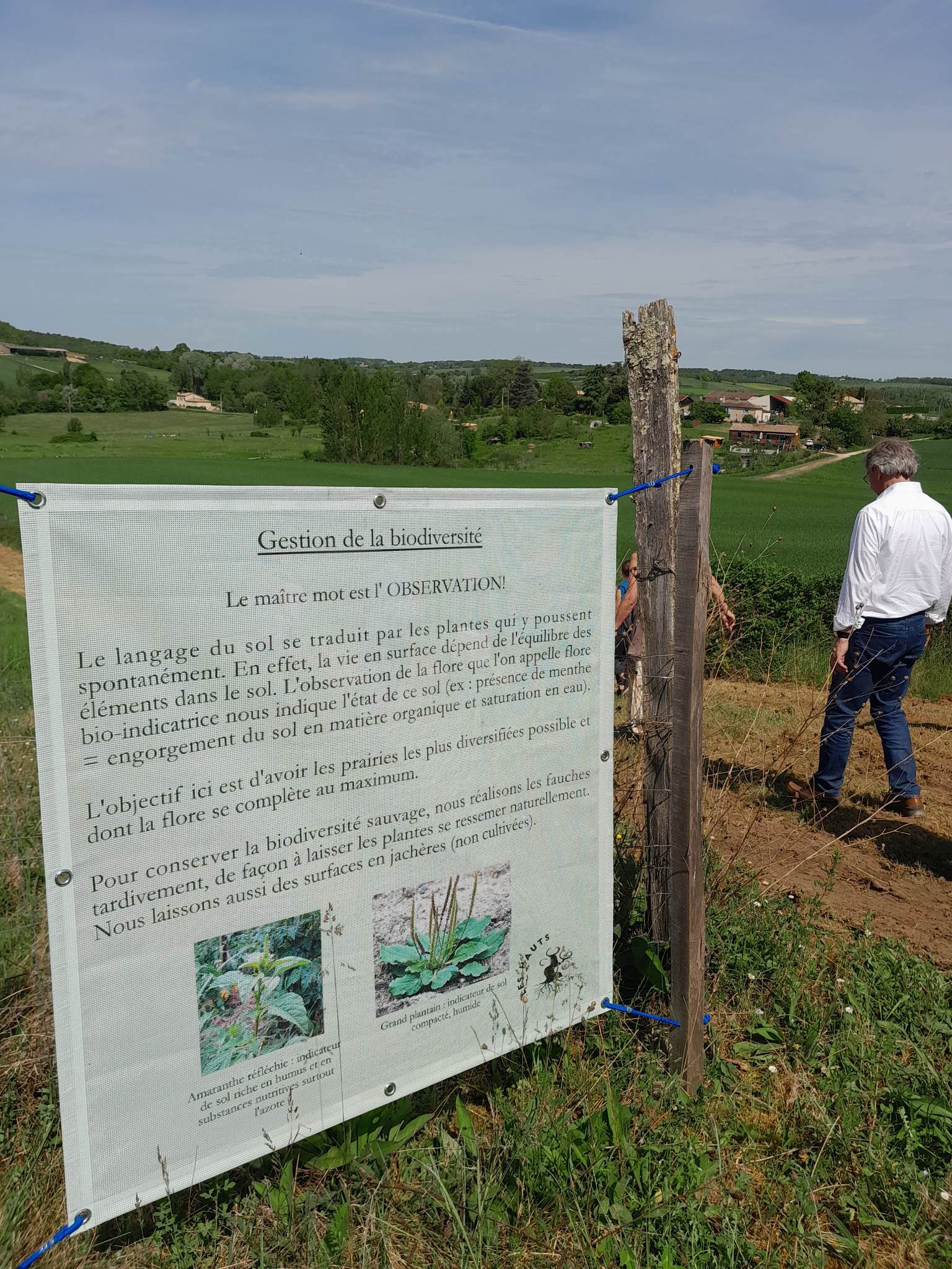 Domaine Les Hauts de Riquets, Baleyssagues - photo 23