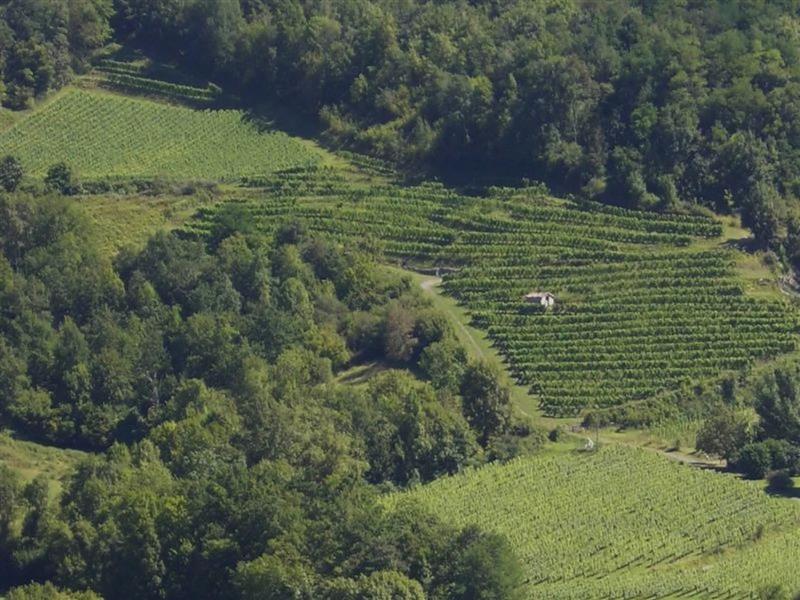Domaine Ilarria