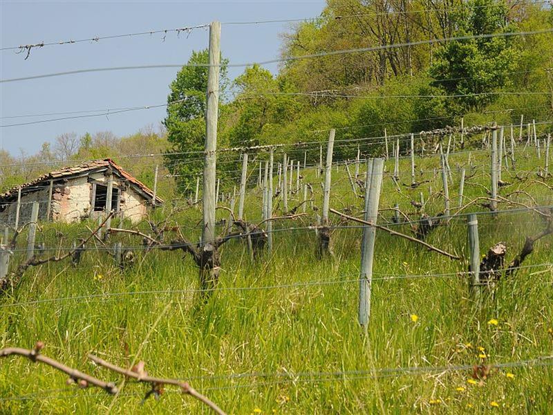 Domaine Ilarria