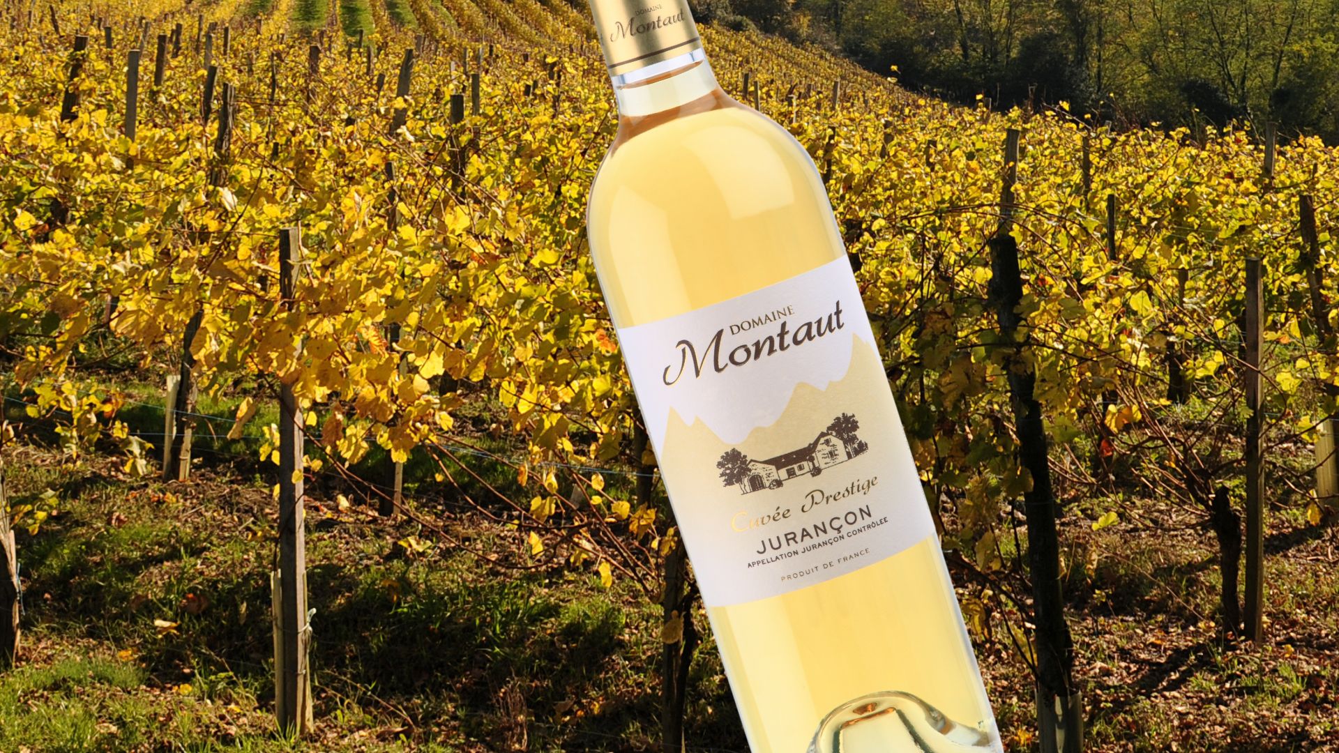 Domaine Montaut - photo 4