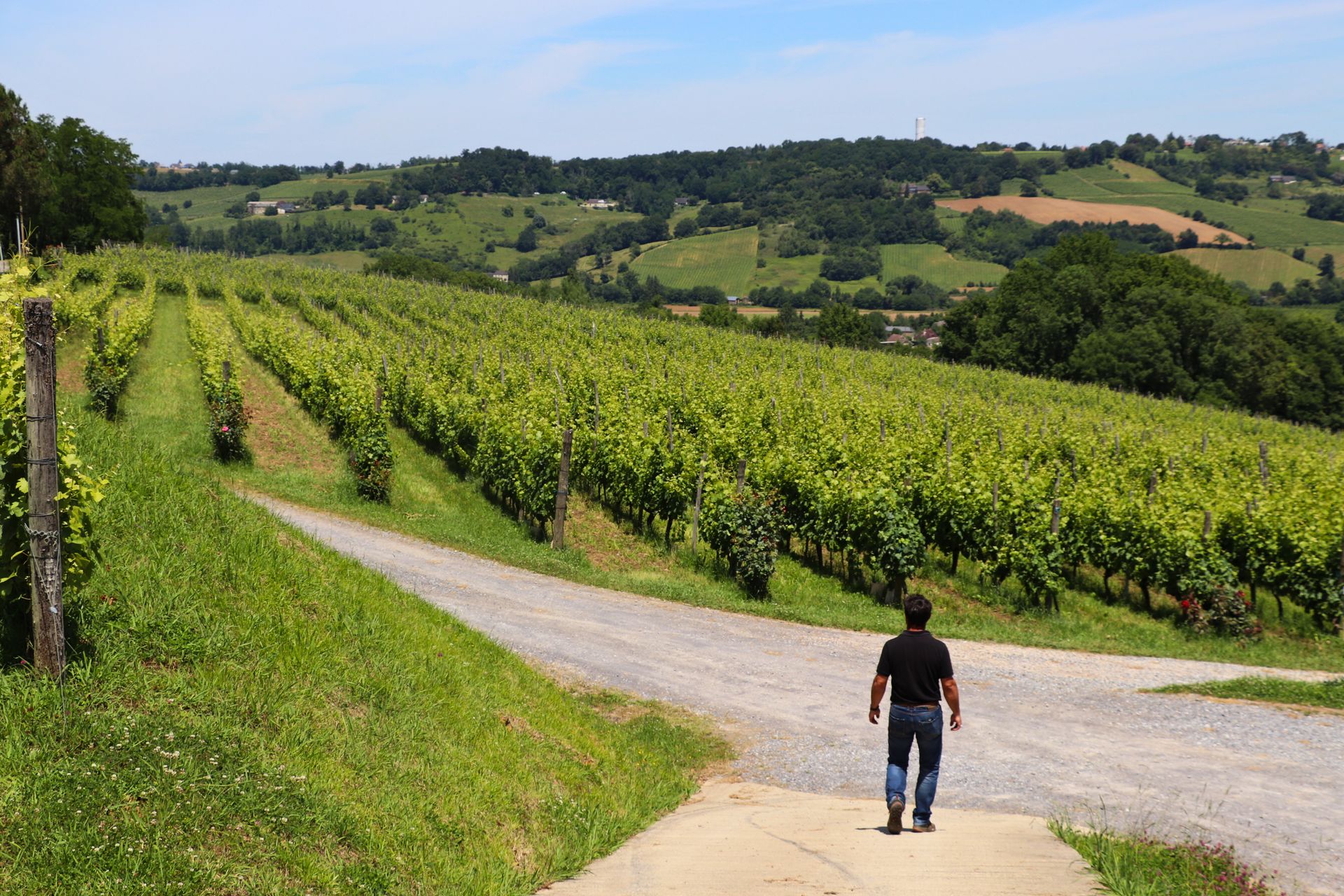 Domaine Montesquiou - photo 3