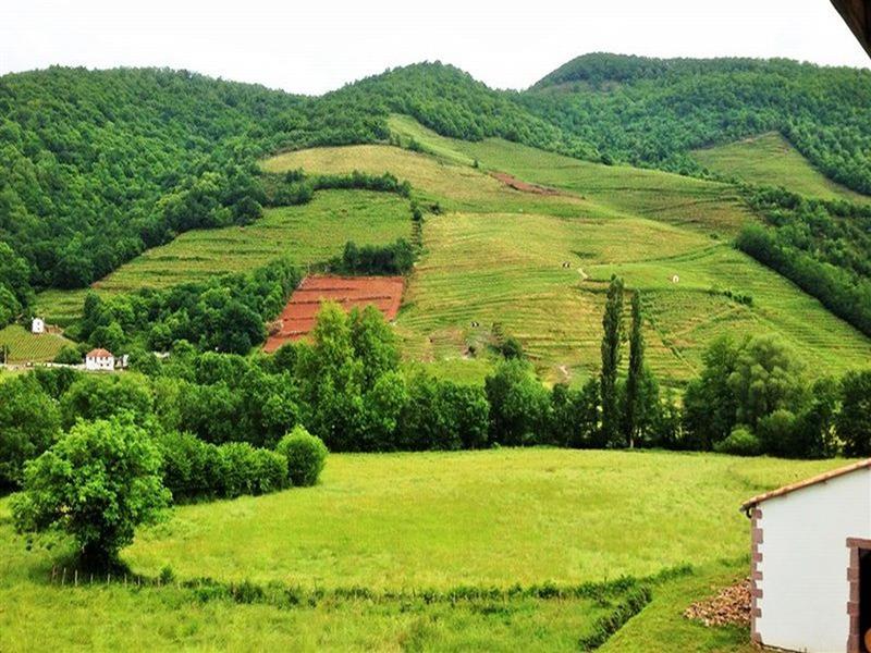 Domaine Mourguy