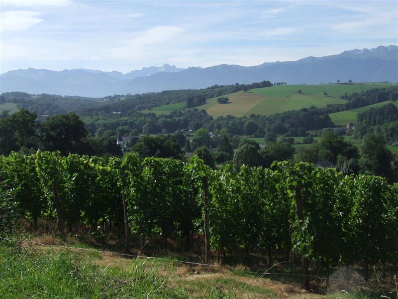 Domaine Naba