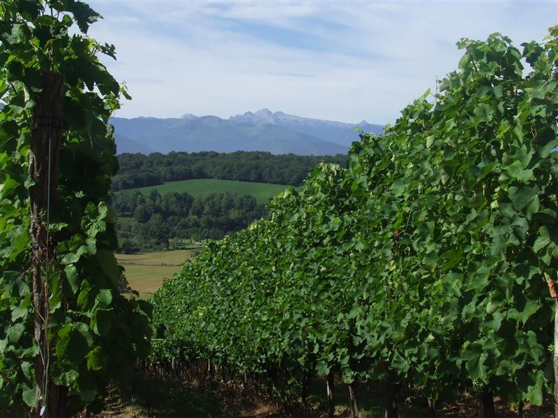 Domaine Naba