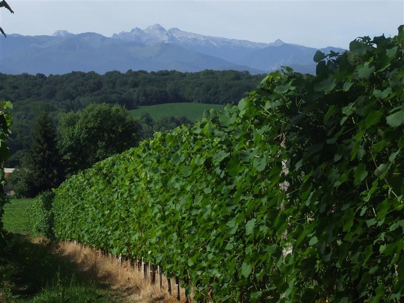 Domaine Naba