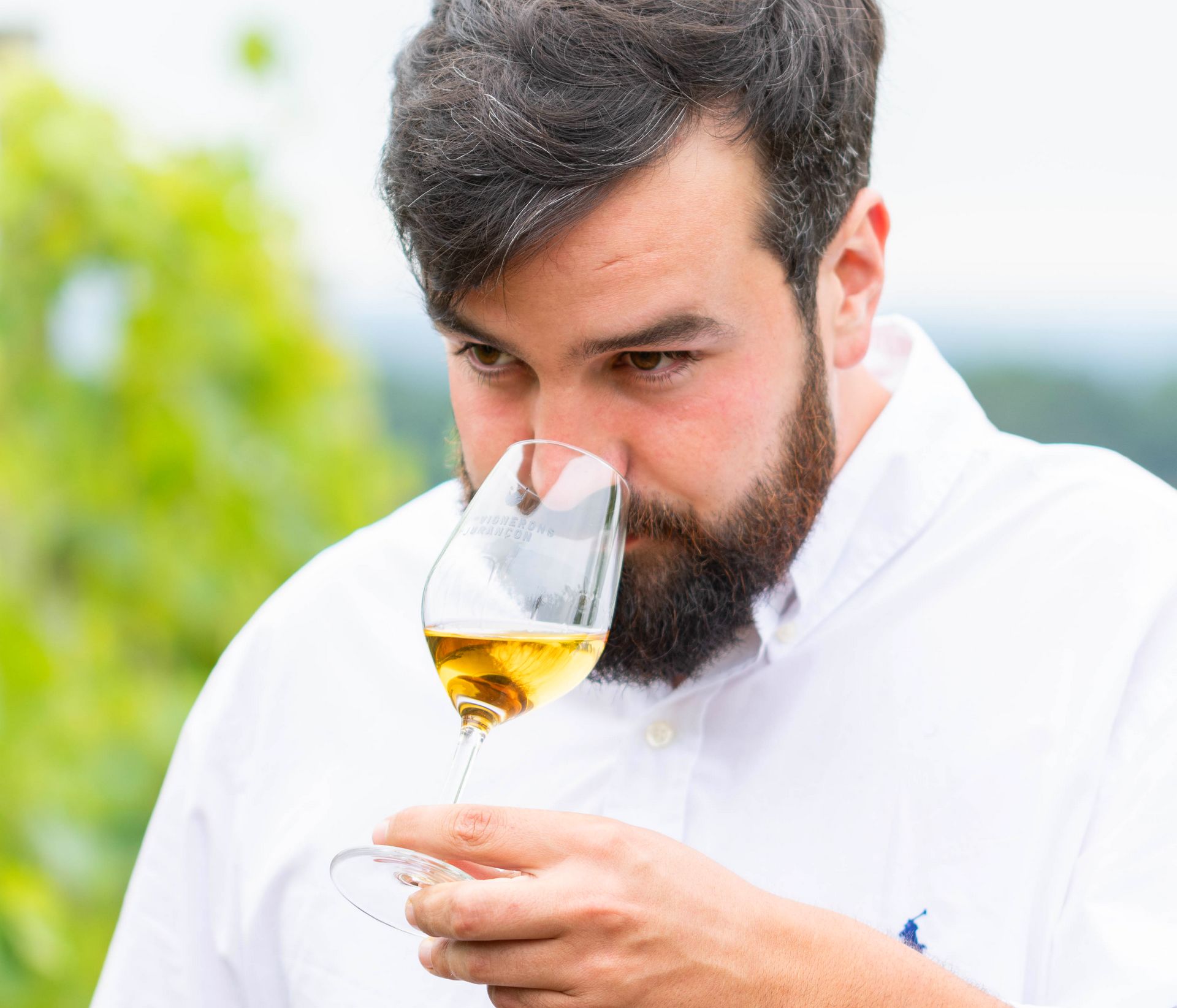 Domaine Nomboly-Traydou - photo 4