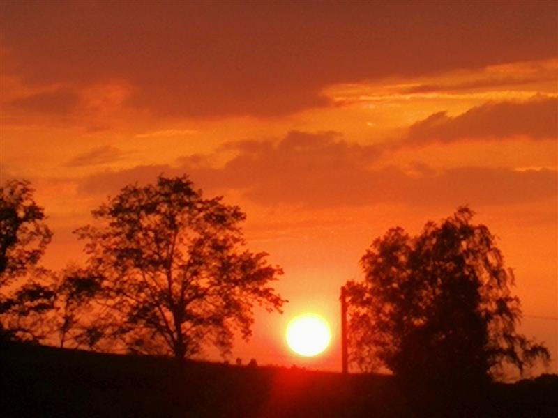 Domaine Passiflorart