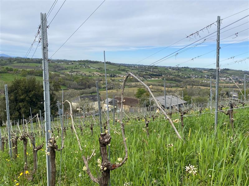 Domaine Peyrette