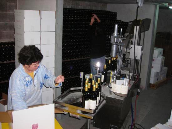 Domaine Prévot - photo 5