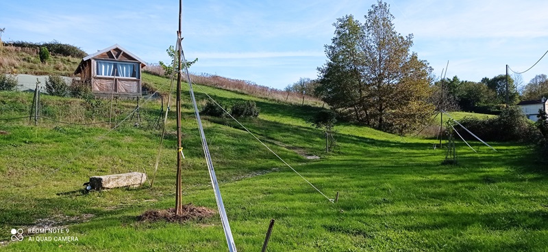 Camping du Domaine de Quiescis, Marcellus - photo 2