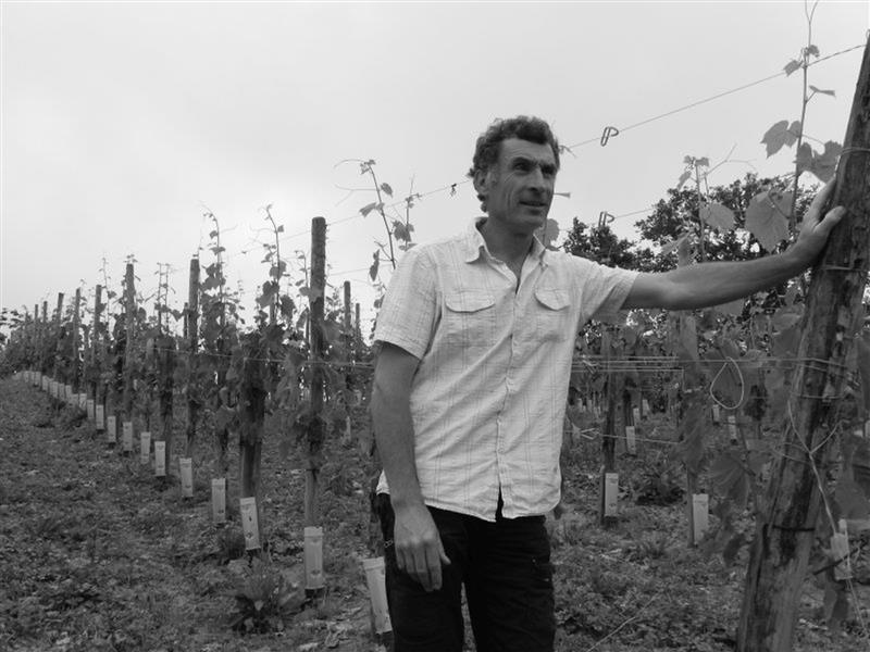 Domaine Tinou