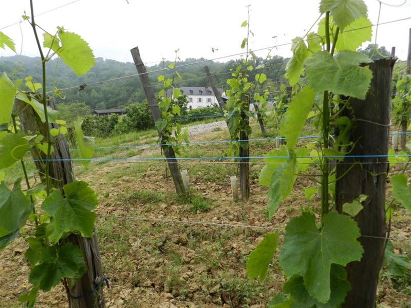 Domaine Tinou