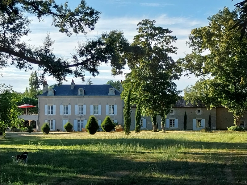 Domaine d'Ancia, Anché - photo 17