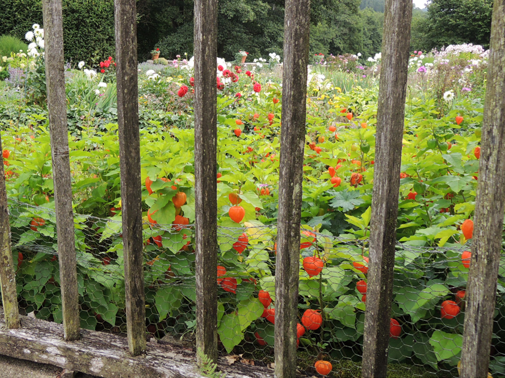MUSÉE - Domaine de Banizette, La Nouaille - photo 2