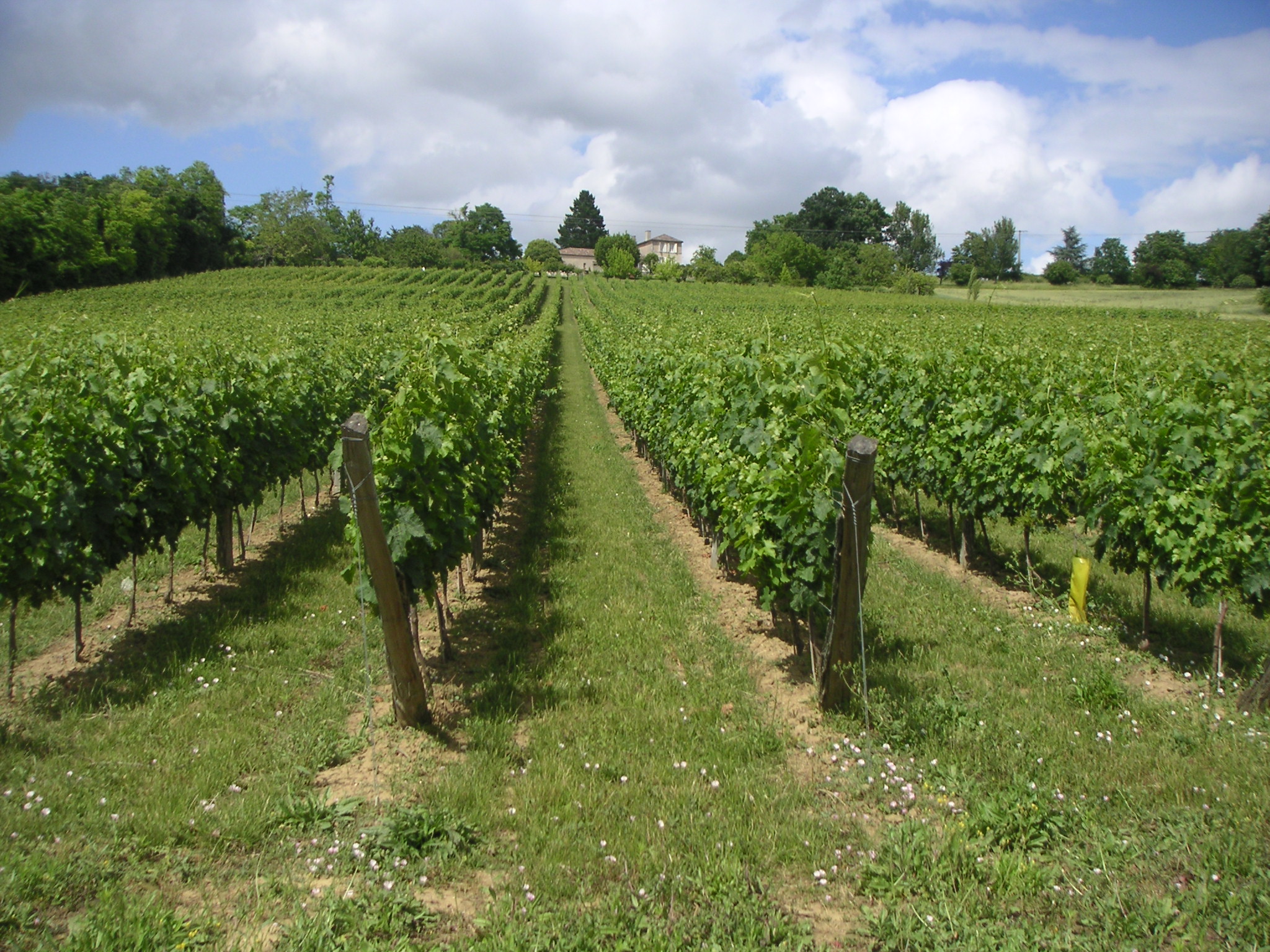 Domaine de Beyssac